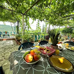 Boungainvillea Affittacamere